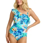 Damella Teresa Aqua Swimsuit