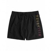 All Day Heritage Lb Badshorts Black Billabong