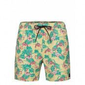 Beach Party Volley Badshorts Multi/mönstrad Rip Curl