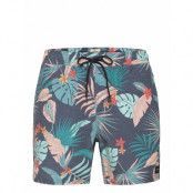 Beach Party Volley Badshorts Multi/mönstrad Rip Curl