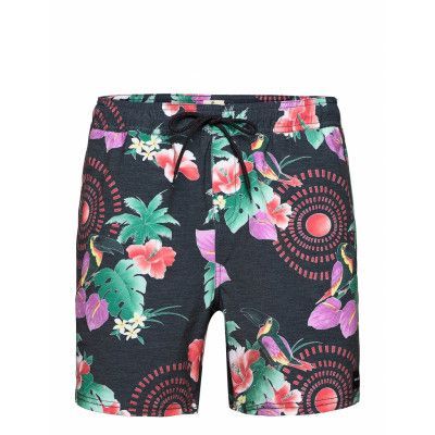 Beach Party Volley Badshorts Multi/mönstrad Rip Curl