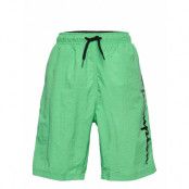 Beachshort Badshorts Grön Champion