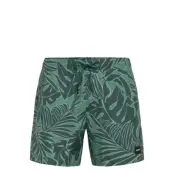 BOSS Piranha - Green - S
