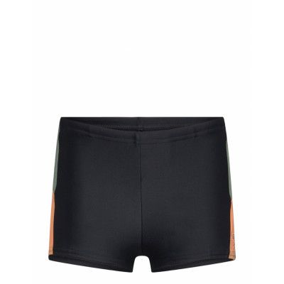 Speedo Boys Dive Aquashort Svart