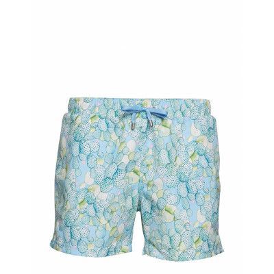 Cactus Apollo Light Denim Badshorts Blå Panos Emporio