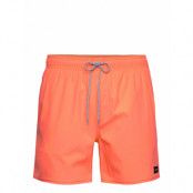 Rip Curl Daily Volley Korall