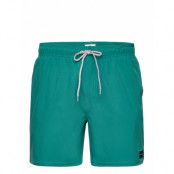 Daily Volley Badshorts Grön Rip Curl