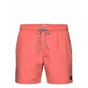 Daily Volley Badshorts Röd Rip Curl