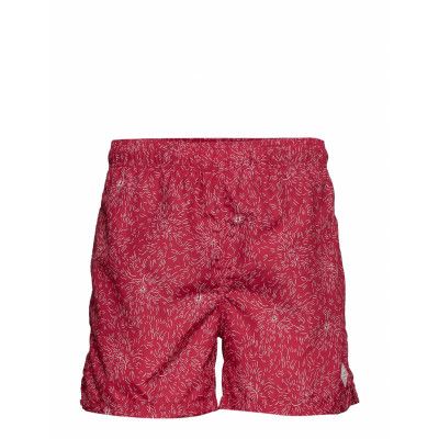 Dandelion Swim Shorts C.F Badshorts Röd GANT