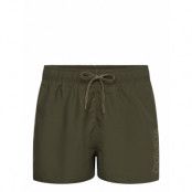 Adidas Sportswear Essentials Logo Clx Shorts Very Short Length Khaki Green