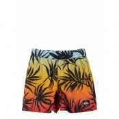 Everyday Mix Volley Boy 12 Badshorts Multi/patterned Quiksilver