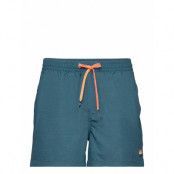 Everyday Volley 15 Badshorts Blå Quiksilver