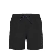 H2O Leisure Logo Swim Shorts - Black - L