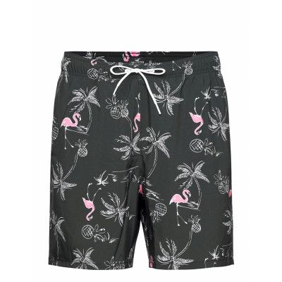 Hco. Guys Swim Badshorts Svart Hollister