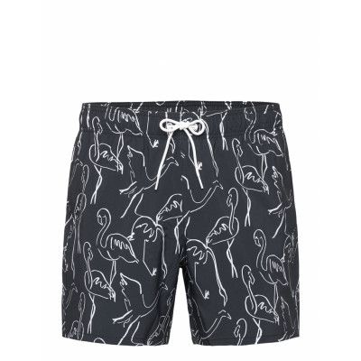 Hco. Guys Swim Badshorts Svart Hollister