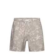 Hollister Hco. Guys Swim - Grey - XXL