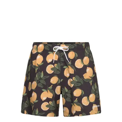 Hollister Hco. Guys Swim Svart