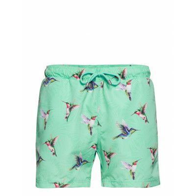 Hummingbird Apollo Miami Badshorts Grön Panos Emporio
