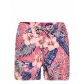 Jjibali Jjswimshorts Akm Pop Jr Badshorts Rosa Jack & J S