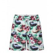 Kids Boys Swim Badshorts Grön Abercrombie & Fitch