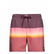 Layered Volley Badshorts Rosa Rip Curl