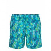 Men Swimwear Ocean Paisley Multicolore Badshorts Blå Vilebrequin