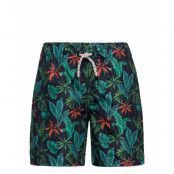 Nkmzoccas Swim Shorts Badshorts Blå Name It