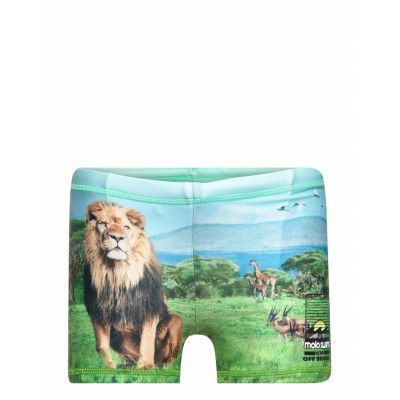 Norton Placed *Villkorat Erbjudande Swimwear UV Clothing UV Bottoms Multi/mönstrad Molo