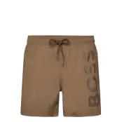 BOSS Octopus Brun