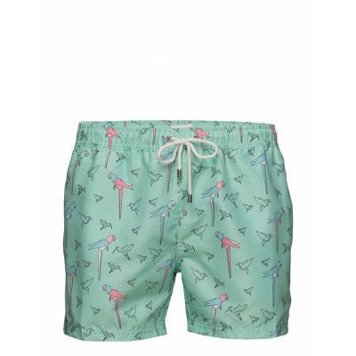 Orgami Apollo Badshorts Grön Panos Emporio