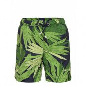 Palm Breeze Boy'S Swim Shorts Badshorts Grön GANT