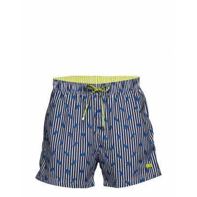 Palmfish Badshorts Blå BOSS