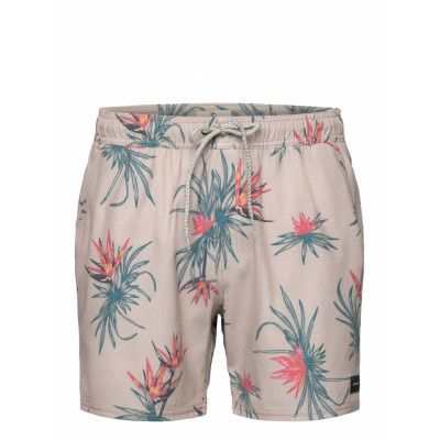 Paradiso Volley Badshorts Beige Rip Curl