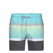 Party Pack Volley Badshorts Blå Rip Curl