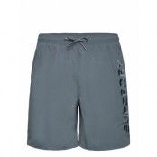 Superdry Sport Premium Emb 17" Swim Short Grå