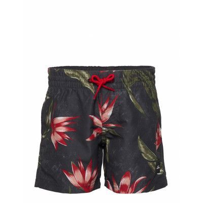 Print Shorts Badshorts Multi/mönstrad O'neill