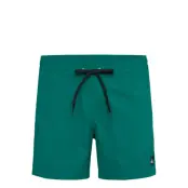 Quiksilver Everyday Solid Volley 15 Grön