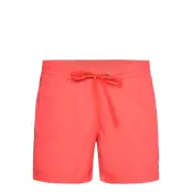 Quiksilver Everyday Solid Volley 15 Rosa