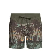 Quiksilver Everyday Straight Volley 15 Grön