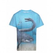 Raveno Tops T-shirts Short-sleeved Multi/patterned Molo