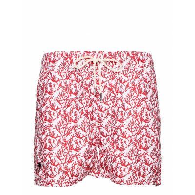 Red Coral Swim Shorts Badshorts Rosa OAS
