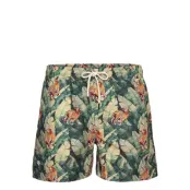 Roar Swim Shorts Badshorts Grön OAS