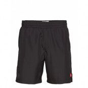 Roy Shorts Badshorts Svart Wood Wood