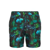 Scotch & Soda Badshorts Grön Scotch & Soda