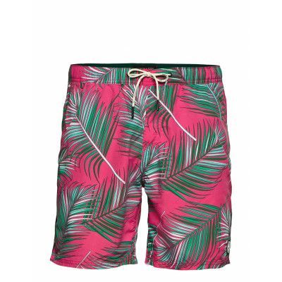 Scotch & Soda Badshorts Rosa Scotch & Soda