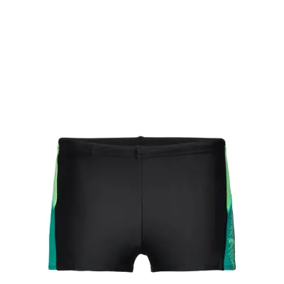 Speedo Boys Dive Aquashort Svart