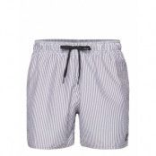 Stripy Clx Swim Short Short Length Sport Swimshorts Navy Adidas Sportswear