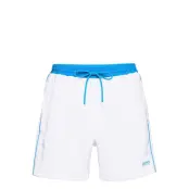 Starfish Badshorts BOSS