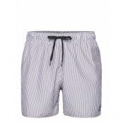 Adidas Sportswear Stripy Clx Swim Short Short Length Marinblå