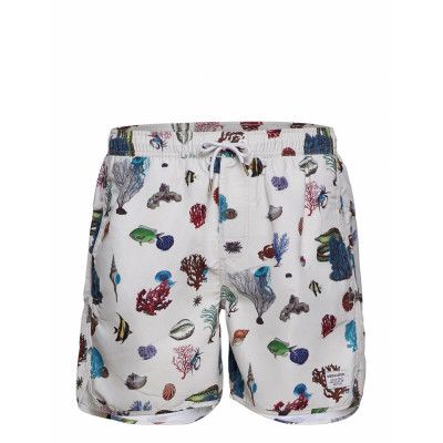 Swim Shorts Coral Reef Badshorts Creme DEDICATED